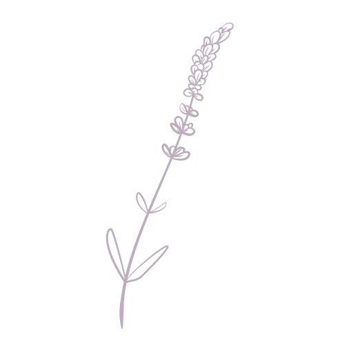 Untitled (500 × 500 px) (1)